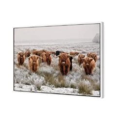 Herd Of Highlanders -WALL ART DESGIN SALE herd of highlanders canvas white frame 45x30cm 346721