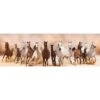 Horse Storm (Long) 1 Horse Storm (Long) -WALL ART DESGIN SALE horse storm long canvas stretched canvas 60x20cm 169733