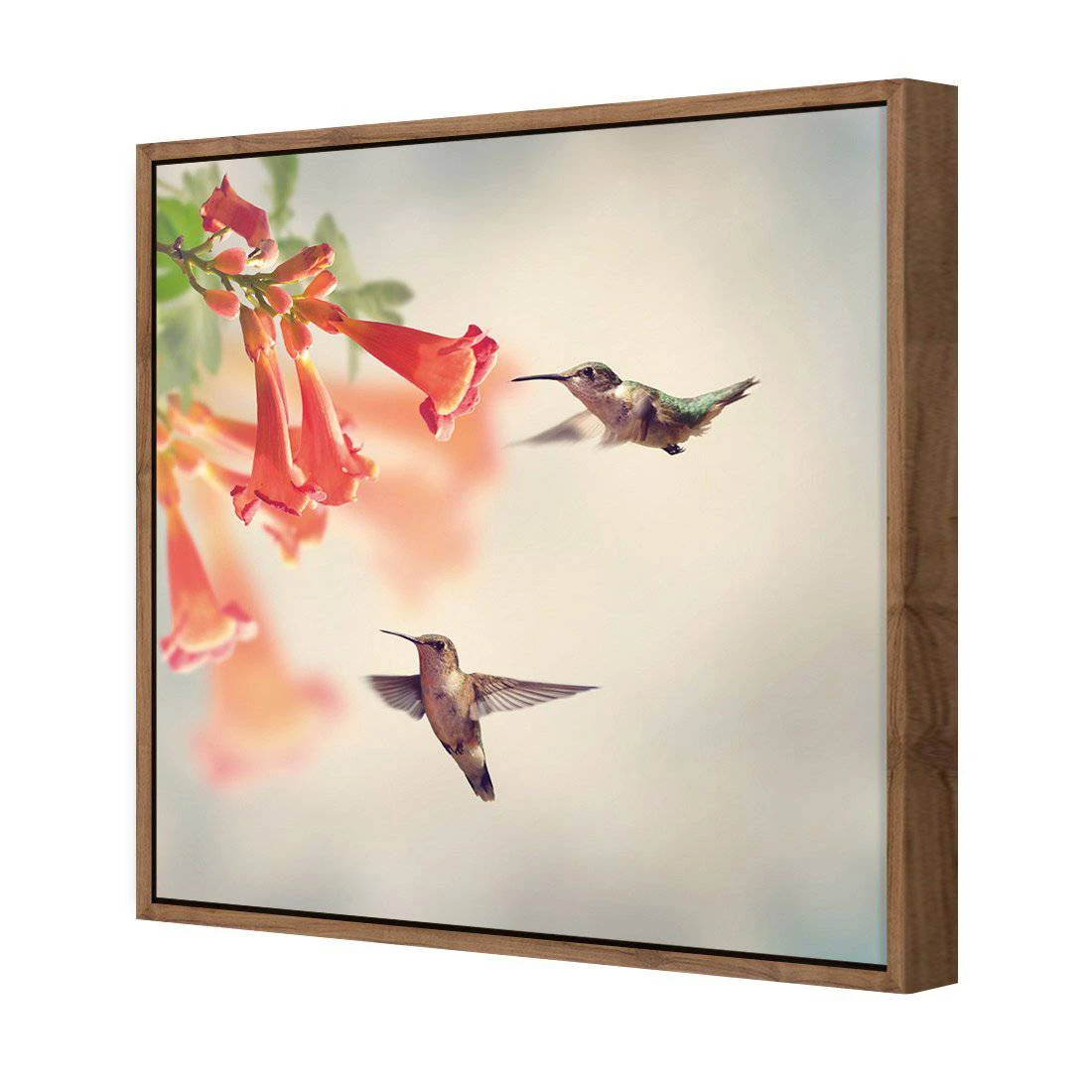 Hummingbird Hover Canvas Art Hummingbird Hover Canvas Art -WALL ART DESGIN SALE hummingbird hover canvas art 30x30cm natural frame 848959