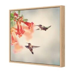 Hummingbird Hover Canvas Art 7 Hummingbird Hover Canvas Art -WALL ART DESGIN SALE hummingbird hover canvas art 30x30cm oak frame 544988