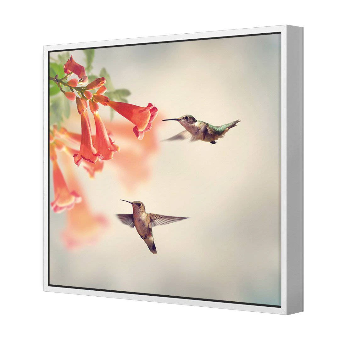 Hummingbird Hover Canvas Art Hummingbird Hover Canvas Art -WALL ART DESGIN SALE hummingbird hover canvas art 30x30cm white frame 724409
