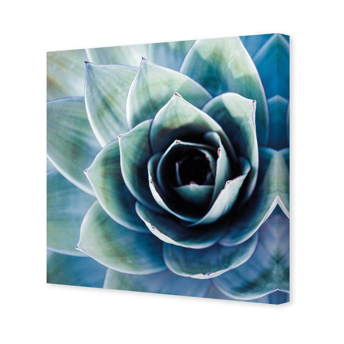 Intense Cactus Canvas Art Intense Cactus Canvas Art -WALL ART DESGIN SALE intense cactus canvas art 30x30cm no frame 483289