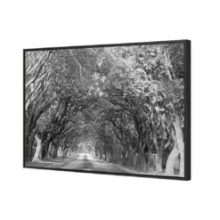 Jacaranda Alley, Rectangle B&W Canvas Art -WALL ART DESGIN SALE jacaranda alley rectangle bw canvas art 45x30cm black frame 588807