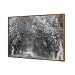 Jacaranda Alley, Rectangle B&W Canvas Art -WALL ART DESGIN SALE jacaranda alley rectangle bw canvas art 45x30cm natural frame 454599