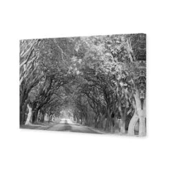 Jacaranda Alley, Rectangle B&W Canvas Art -WALL ART DESGIN SALE jacaranda alley rectangle bw canvas art 45x30cm no frame 459325
