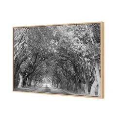 Jacaranda Alley, Rectangle B&W Canvas Art -WALL ART DESGIN SALE jacaranda alley rectangle bw canvas art 45x30cm oak frame 721067