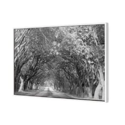 Jacaranda Alley, Rectangle B&W Canvas Art -WALL ART DESGIN SALE jacaranda alley rectangle bw canvas art 45x30cm white frame 174916