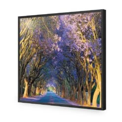 Jacaranda Alley (square) -WALL ART DESGIN SALE jacaranda alley square acrylic glass no border black frame 37x37cm 482407