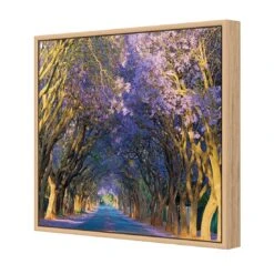 Jacaranda Alley (square) -WALL ART DESGIN SALE jacaranda alley square canvas oak floating frame 37x37cm 760184