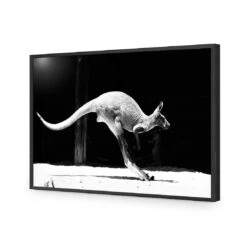 Kanga In Motion -WALL ART DESGIN SALE kanga in motion acrylic glass no border black frame 45x30cm 953812