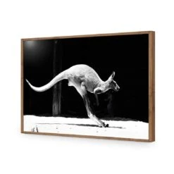 Kanga In Motion -WALL ART DESGIN SALE kanga in motion acrylic glass no border natural frame 45x30cm 477431