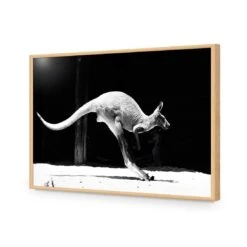 Kanga In Motion -WALL ART DESGIN SALE kanga in motion acrylic glass no border oak frame 45x30cm 199852