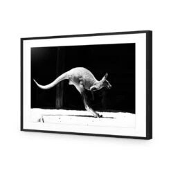 Kanga In Motion -WALL ART DESGIN SALE kanga in motion acrylic glass with border black frame 45x30cm 906805
