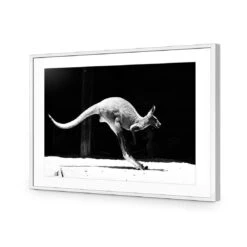 Kanga In Motion -WALL ART DESGIN SALE kanga in motion acrylic glass with border white frame 45x30cm 504298