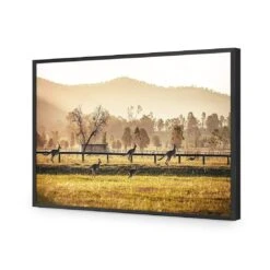 Kangaroo Run -WALL ART DESGIN SALE kangaroo run acrylic glass no border black frame 45x30cm 106954