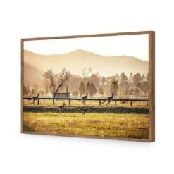Kangaroo Run -WALL ART DESGIN SALE kangaroo run acrylic glass no border natural frame 45x30cm 222155