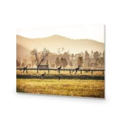Kangaroo Run -WALL ART DESGIN SALE kangaroo run acrylic glass no border no frame 45x30cm 602239