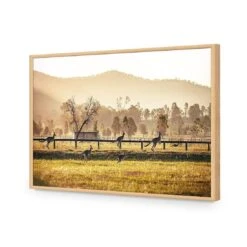 Kangaroo Run -WALL ART DESGIN SALE kangaroo run acrylic glass no border oak frame 45x30cm 231090