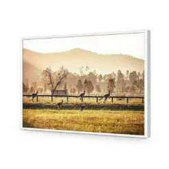 Kangaroo Run -WALL ART DESGIN SALE kangaroo run acrylic glass no border white frame 45x30cm 648715