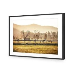 Kangaroo Run -WALL ART DESGIN SALE kangaroo run acrylic glass with border black frame 45x30cm 117866