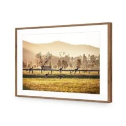 Kangaroo Run -WALL ART DESGIN SALE kangaroo run acrylic glass with border natural frame 45x30cm 218592
