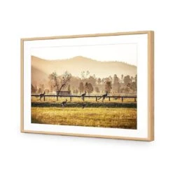 Kangaroo Run -WALL ART DESGIN SALE kangaroo run acrylic glass with border oak frame 45x30cm 768833