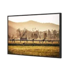 Kangaroo Run -WALL ART DESGIN SALE kangaroo run canvas black floating frame 45x30cm 882029