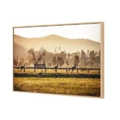 Kangaroo Run -WALL ART DESGIN SALE kangaroo run canvas oak floating frame 45x30cm 990258