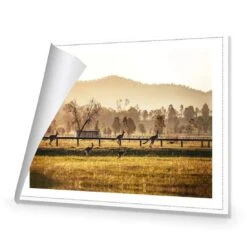 Kangaroo Run -WALL ART DESGIN SALE kangaroo run canvas rolled canvas 45x30cm 455408
