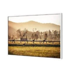 Kangaroo Run -WALL ART DESGIN SALE kangaroo run canvas white floating frame 45x30cm 272566