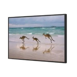 Kangaroos On Vacation Canvas Art -WALL ART DESGIN SALE kangaroos on vacation canvas art 45x30cm black frame 544978
