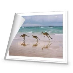 Kangaroos On Vacation Canvas Art -WALL ART DESGIN SALE kangaroos on vacation canvas art 45x30cm rolled canvas 716940