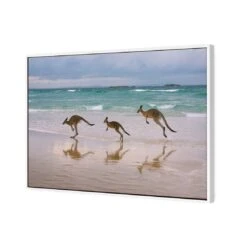 Kangaroos On Vacation Canvas Art -WALL ART DESGIN SALE kangaroos on vacation canvas art 45x30cm white frame 746906