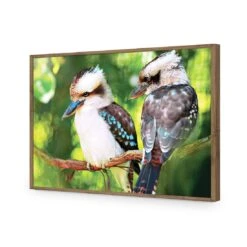 Kookaburra Pair Acrylic Print Art -WALL ART DESGIN SALE kookaburra pair acrylic print art without border natural frame 45x30cm 545767