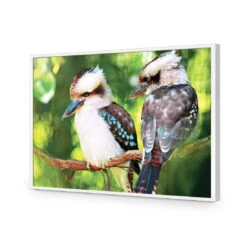 Kookaburra Pair Acrylic Print Art -WALL ART DESGIN SALE kookaburra pair acrylic print art without border white frame 45x30cm 590516