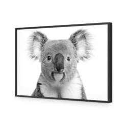 Korro Koala -WALL ART DESGIN SALE korro koala acrylic glass no border black frame 45x30cm 283671