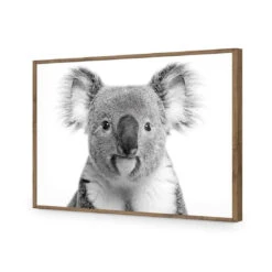 Korro Koala -WALL ART DESGIN SALE korro koala acrylic glass no border natural frame 45x30cm 367037
