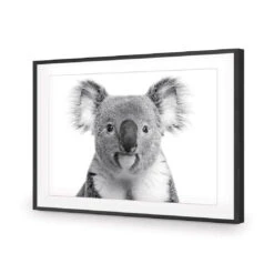 Korro Koala -WALL ART DESGIN SALE korro koala acrylic glass with border black frame 45x30cm 653110
