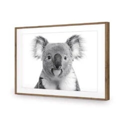 Korro Koala -WALL ART DESGIN SALE korro koala acrylic glass with border natural frame 45x30cm 682259