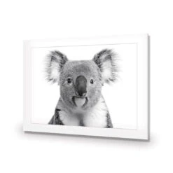 Korro Koala -WALL ART DESGIN SALE korro koala acrylic glass with border no frame 45x30cm 461062