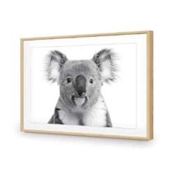 Korro Koala -WALL ART DESGIN SALE korro koala acrylic glass with border oak frame 45x30cm 271058