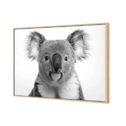 Korro Koala -WALL ART DESGIN SALE korro koala canvas oak floating frame 45x30cm 702440