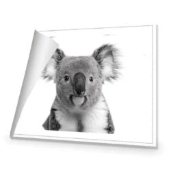 Korro Koala -WALL ART DESGIN SALE korro koala canvas rolled canvas 45x30cm 836948