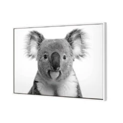 Korro Koala -WALL ART DESGIN SALE korro koala canvas white floating frame 45x30cm 151586