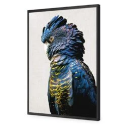 Lady Black Cocky 15 Lady Black Cocky -WALL ART DESGIN SALE lady black cocky acrylic glass no border black frame 45x30cm 249894