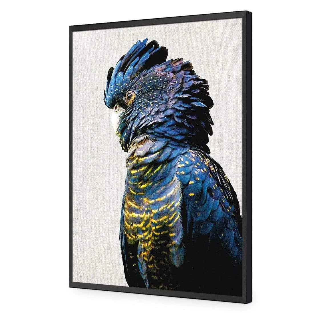Lady Black Cocky Lady Black Cocky -WALL ART DESGIN SALE lady black cocky acrylic glass no border black frame 45x30cm 249894