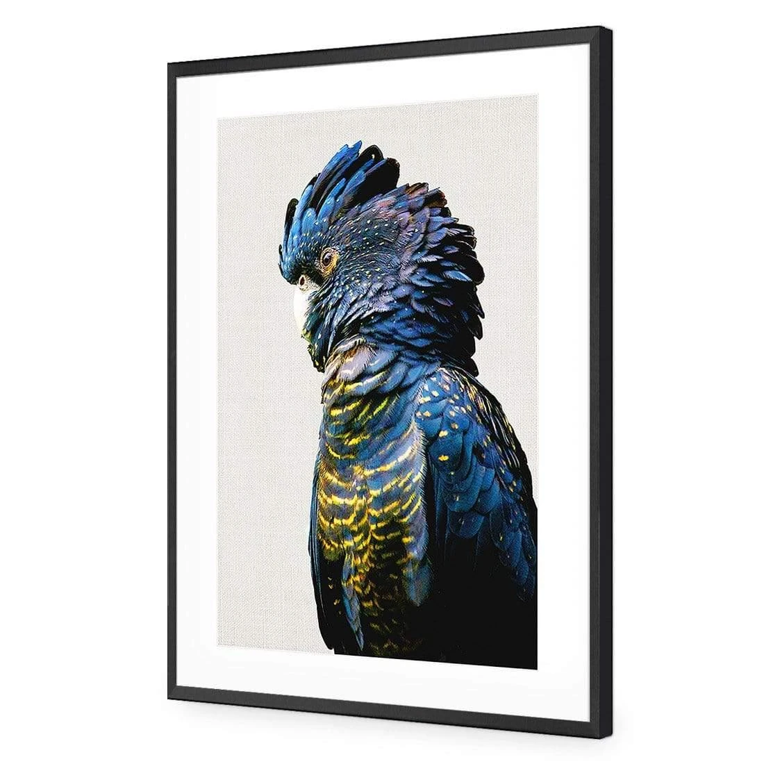 Lady Black Cocky Lady Black Cocky -WALL ART DESGIN SALE lady black cocky acrylic glass with border black frame 45x30cm 903870