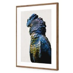 Lady Black Cocky 13 Lady Black Cocky -WALL ART DESGIN SALE lady black cocky acrylic glass with border natural frame 45x30cm 384257