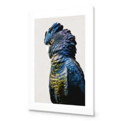 Lady Black Cocky 9 Lady Black Cocky -WALL ART DESGIN SALE lady black cocky acrylic glass with border no frame 45x30cm 766121
