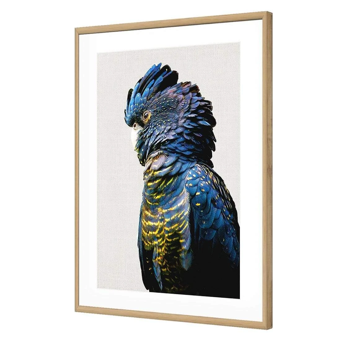 Lady Black Cocky Lady Black Cocky -WALL ART DESGIN SALE lady black cocky acrylic glass with border oak frame 45x30cm 546171